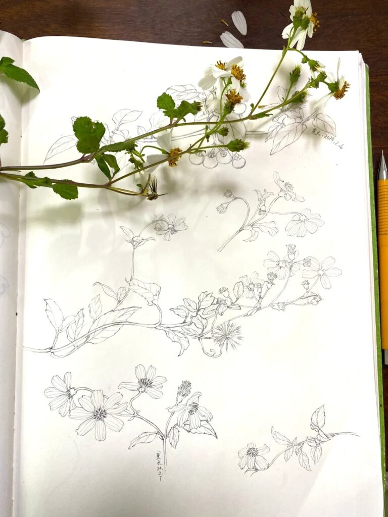Close-up of hand-drawing a botanical illustration from a real flower